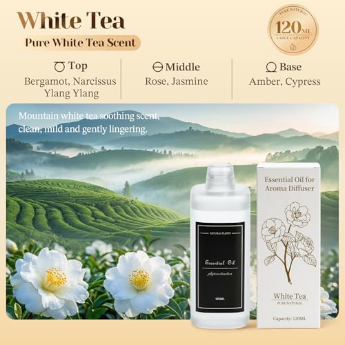 4.06 fl oz (120ml) Essential Oil for Diffusers M60 (White Tea)
