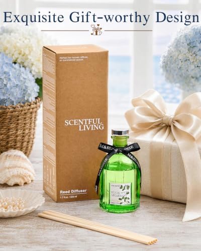 M&SENSE Reed Diffuser, Eucalyptus & Spearmint, 7.7 oz Natural Essential Oil