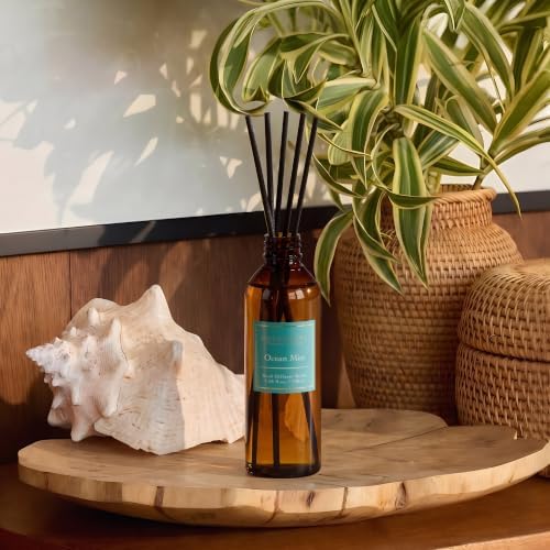 COCORRÍNA Reed Diffuser Refill, Ocean Mist, 3.38 fl oz, 6 Reeds