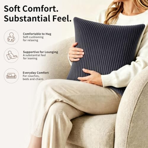 2 Pack 18 x 18 Decorative Throw Pillows with Insert Included