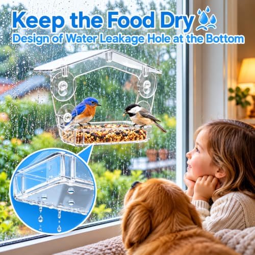 Large Window Bird Feeder with 4X Strong Suction Cups, Acrylic for Garden