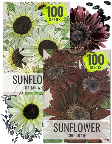 Seed Needs Sunflower Seeds Variety Pack of 2 Helianthus Flowers to Plant