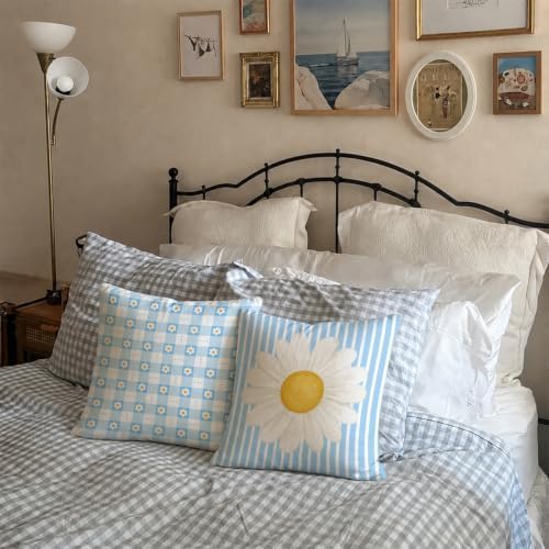 Cottagecore Daisy Decor Pillow Covers 18x18 Set of 2,