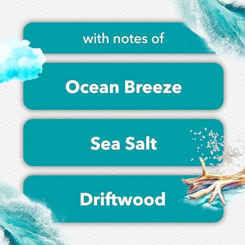 Glade PlugIns Air Freshener Refills, Sky & Sea Salt, 5 Count