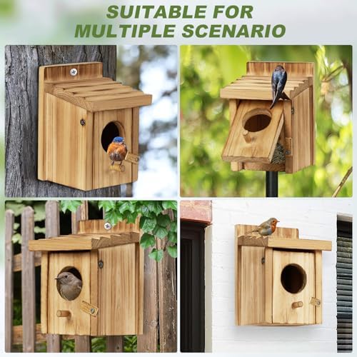 Small Wooden Birdhouse with Front Cleaning Door