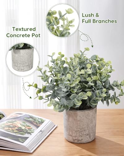 Velener 2 Pcs Small Fake Plants Eucalyptus, Artificial Plants Indoor for Shelf, Potted Eucalyptus Plants for Home/Bathroom/Pottery Barn/Desk/Farmhouse/Coffee Table Decor (Frosted Green)