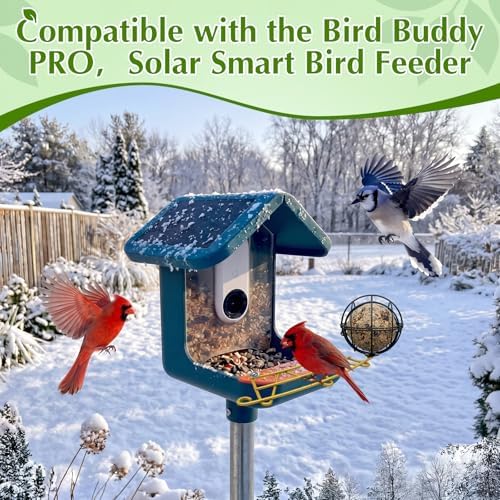 Metal Perch Extender & Suet Ball Holder Compatible with Bird Buddy Feeder