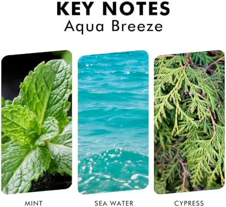 Xcleen Reed Diffuser Set, Aqua Breeze Scented Oil Diffuser with Sticks, Long-Lasting Home Fragrance Reed Diffusers for Bathroom Office Shelf, Room Fresheners 3.7 Oz