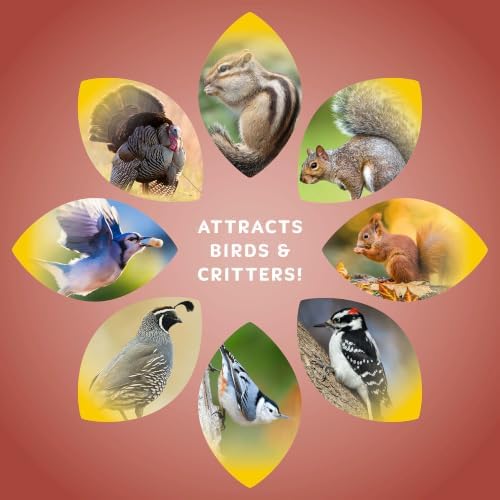 Audubon Park Squirrel & Critter Food, 10 lb