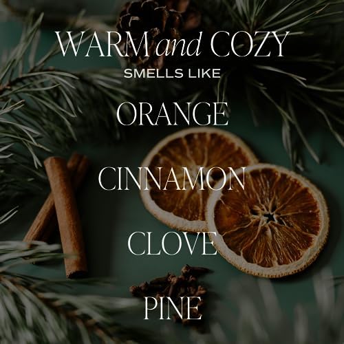 Sweet Water Decor Warm and Cozy Reed Diffuser Set - Orange, Cinnamon, Clove, and Pine Winter Scented Diffuser - Scent Diffusers for Home, Long Lasting Fragrance, Made in the USA