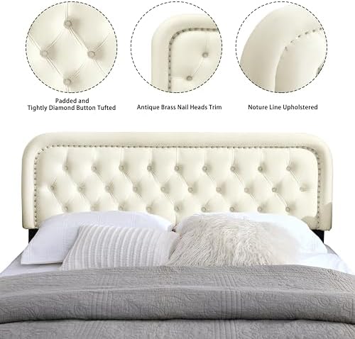 Tufted Upholstered Twin Size Headboard only - Button Solid Wood HeadBoards with Adjustable Height - Modern Velvet Padded Bed Headboard - Easy Assembly - Nailhead,Beige
