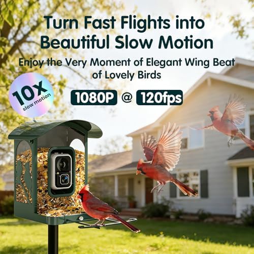 4K Smart Bird Feeder with Camera,No Subscription,Solar Powered