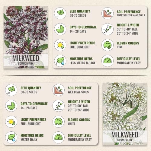 Seed Needs Milkweed Seeds Variety Pack of 5 Perennial Flowers for Monarchs