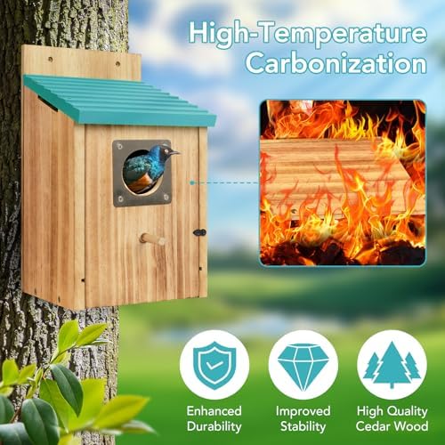 2 Pack Bird Houses for Outside, Cedar Outdoor Garden Bluebird House