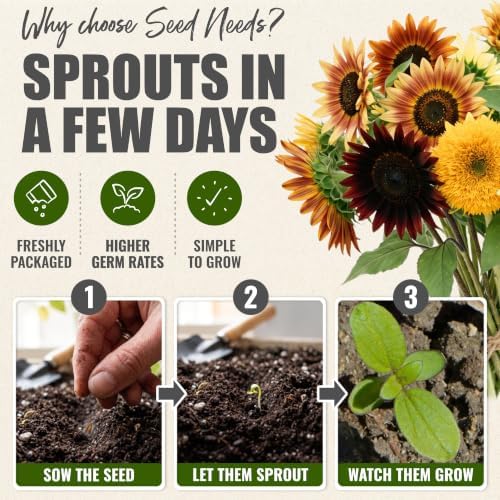 Seed Needs Sunflower Seeds Variety Pack of 6 Flowers for a Butterfly Garden