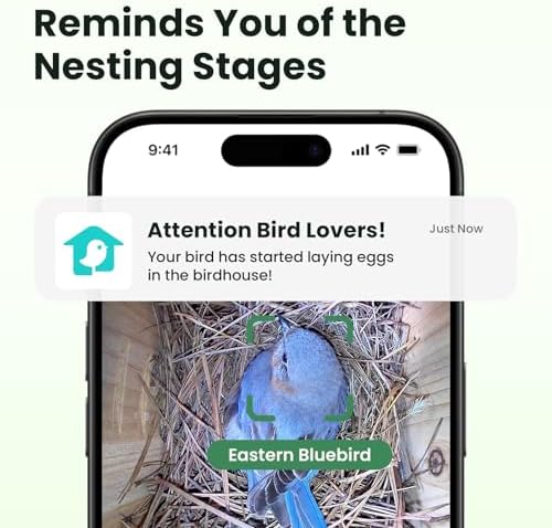 Birdfy Smart Bird House with Camera Solar Powered, 1080HD Live Video & Night Vision for 24/7 Nesting Recording, Auto Detect & Notify, Ideal Nature Gift for Bird Lovers, AI Identify Lifetime Free