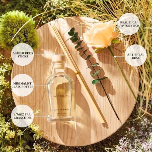 COCORRÍNA Reed Diffuser Cashmere Vanilla 6.76 fl oz Home Bathroom Fragrance