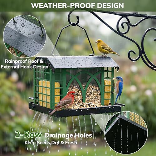 Bird Feeders for Outdoors Hanging, Metal Bird Feeder with Double Suet Cage Weatherproof Metal Roof, 3.5Lbs Large Capacity Great for Attracting Finch Cardinal Chickadee Wild Birds, Branch Green
