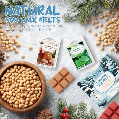 SALKING Winter Scented Wax Melts, Christmas Soy Wax Cubes for Wax Warmer
