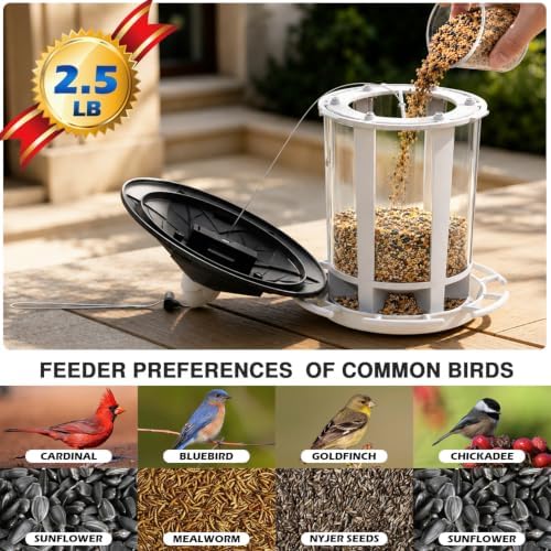Birdream Solar Bird Feeders for Outdoors, Hanging Wild Bird Feeder with Solar LED Light, Assembly Required, 1-Min Easy Setup, Wild Seed Feeders for Cardinals Chickadees and Finches