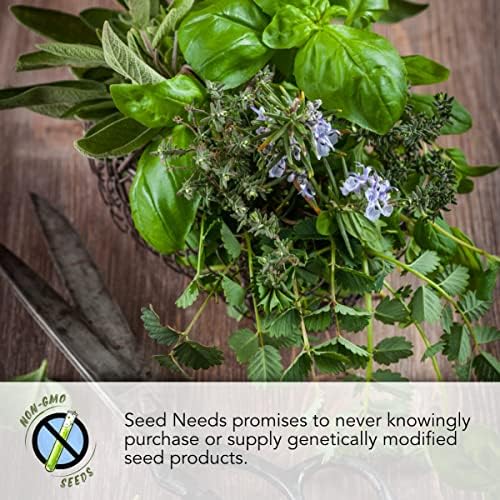 Seed Needs Bee Balm Seeds Variety Pack of 3 Perennial Monarda Flowers