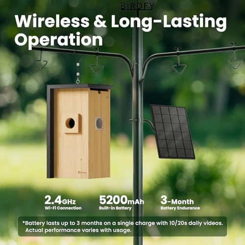 Birdfy Bird House with Camera & Metal Cladding, Lifetime Free AI Bird ID