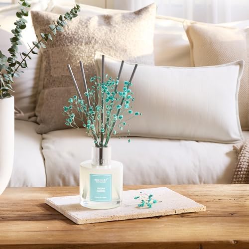 Airkeep Reed Diffuser Set,3.38 fl oz (100 ml) - Ocean Breeze Oil Diffusers with 8 Reed Sticks, Home Fragrance Reed Diffuser for Bathroom Shelf Decor