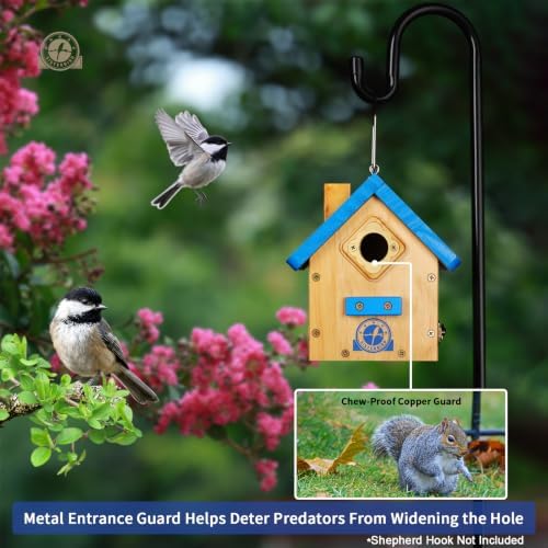 SISTERBIRD Birdhouses for Outdoors, Blue Hanging Wren House, Warming Gifts