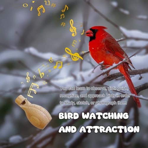 ZDH 9-Piece Wooden Bird Call Set – Handcrafted Bird-Call in Wooden Box for Birdwatchers, Nature Lovers, Outdoor Exploration & Education 6 * 6 * 2.9inch