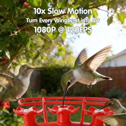 4K Hummingbird Feeder with Camera,No Subscription,Solar Powered