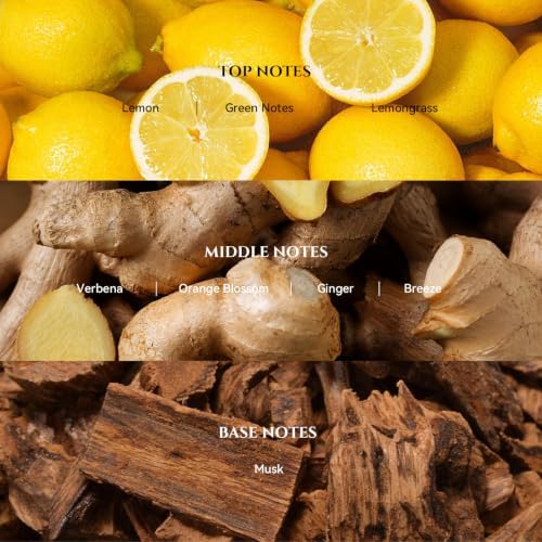 AROMADD 24K Celestia Diffuser Oil Inspired by W Hotel Luxury Scent, 100 mL