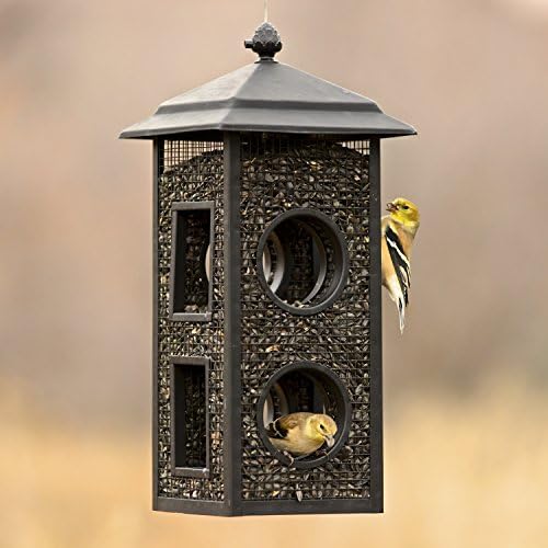 Perky-Pet Fly-Thru Wild Bird Feeder, 2 lb Seed Capacity (Pack of 2)