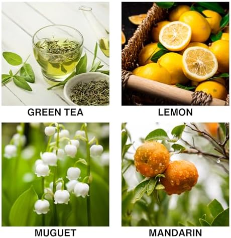Tea Garden Bliss Scent Reed Diffuser – Aromatherapy Diffuser with Green Tea, Mandarin & Muguet – Long-Lasting Scented Oil for Home, Bathroom, Bedroom – 150ml