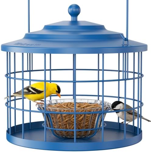 Birdream Metal Cage Bird Feeder for Outdoors Hanging with Glass Bowl, Blue