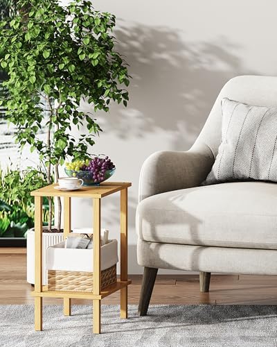 TUTOTAK End Table, Side Table, Nightstand, 2-Tier Storage Shelf