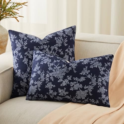 100% Cotton French Pastoral Throw Pillow Covers Set of 2, 22x22 Inch Background/Blue Farmhouse Decorative Cushion Covers for Sofa Bed Living Room Home Decor