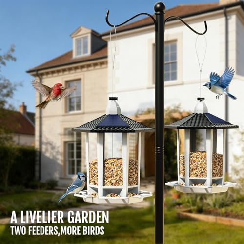 Birdream Solar Bird Feeders for Outdoors Hanging, Assembly Required, 1-Min Easy Setup, Wild Seed Feeders for Cardinals Chickadees and Finches