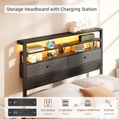 Twin Bed Frames with Charging Station and LED Lights, Black Oak