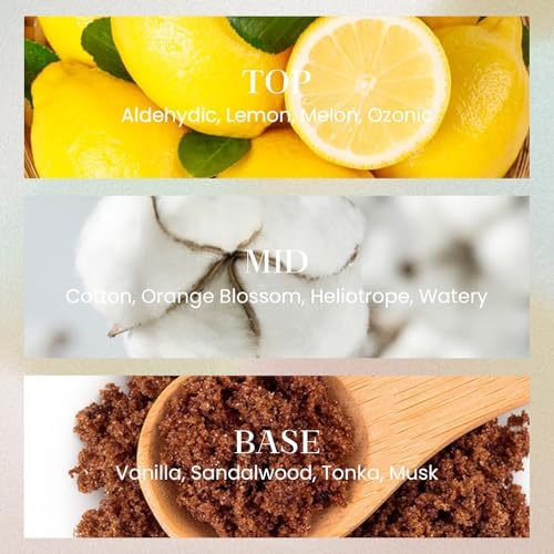 M&SENSE 6.3 oz Large Reed Diffuser Set | Sea Island Cotton Scent Oil Diffuser with Sticks | Hotel Collection Non-Toxic Essential Oil |for Bedroom Bathroom Living Room