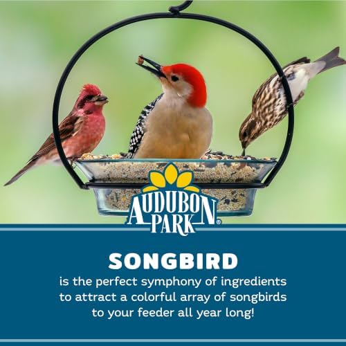 Audubon Park Songbird Wild Bird Seed, 10 lb.