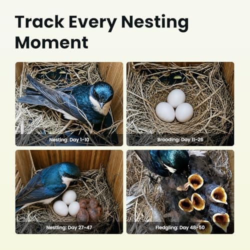Birdfy Bird House with Camera Solar Powered with Metal Cladding for Outside