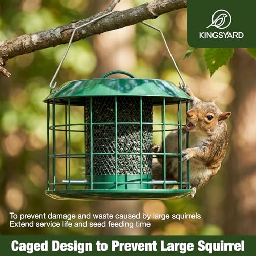 Kingsyard Caged Squirrel Proof Bird Feeders for Outdoors Hanging