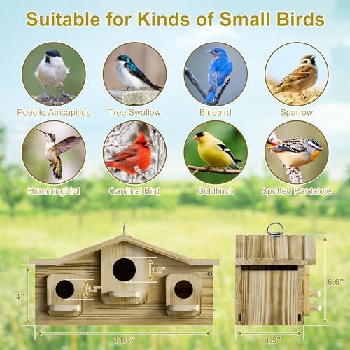 Auslar Bird House for Outside, 3 Hole Wooden Birdhouse for Outdoors Hanging