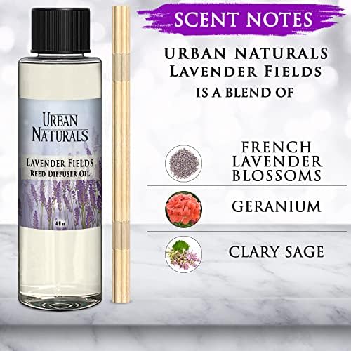 Urban Naturals Lavender Fields Essential Oil Reed Diffuser Refill & Set of Replacement Reed Sticks | Soothing, Aromatic Home Fragrance for Aromatherapy & Stress Relief | Includes a Set of Reed Sticks