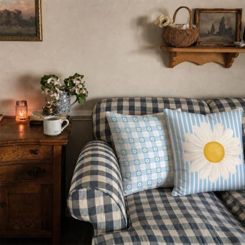 Cottagecore Daisy Decor Pillow Covers 18x18 Set of 2,