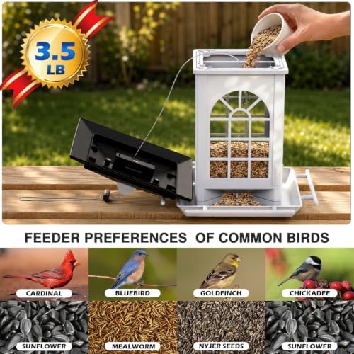 Birdream 2 Pack Solar Bird Feeders for Outdoors, Hanging Solar Wild Bird Seed, Assembly Required, 1-Min Easy Setup, Classic Courtyard Design, Attracting Cardinals Chickadees Sparrows, Total 7 LB