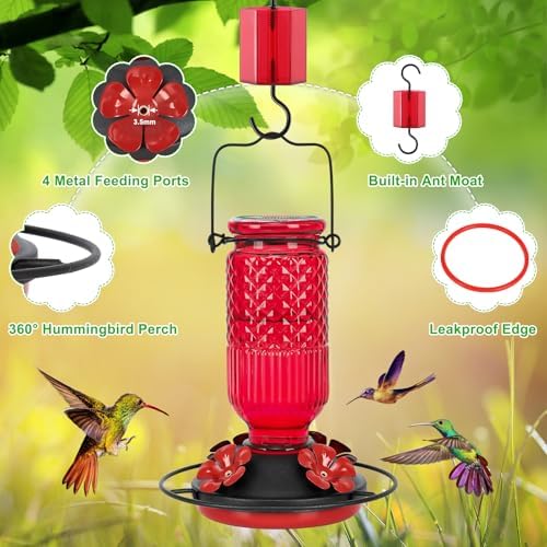 FEED GARDEN Glass Hummingbird Feeder for Outdoors, Leak-Resistant, 16 oz