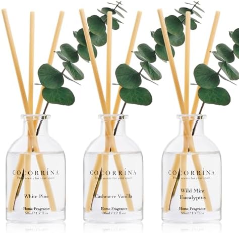 COCORRÍNA Reed Diffuser Set of 3 with Dried Eucalyptus for Home & Office
