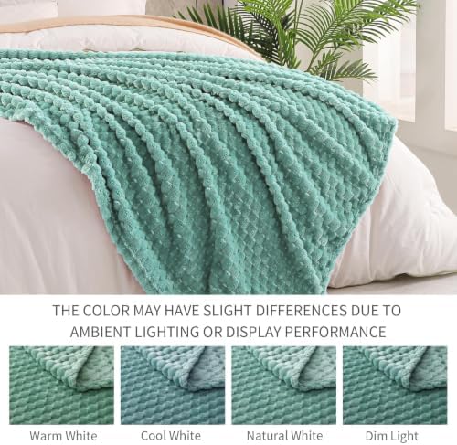 Exclusivo Mezcla Extra Large Soft Fleece Throw Blanket, 50x70 Inches 3D Clouds Stylish Jacquard Throw Blanket for Couch, Cozy Soft Lightweight for All Season, Celadon Blanket