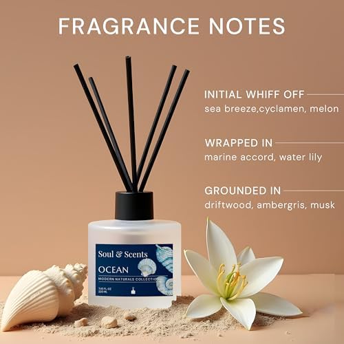 Soul & Scents Reed Diffuser Set – Ocean | 7.43 oz Refillable Scented Oil with 6 Fiber Sticks | Long-Lasting Home Fragrance & Air Freshener for Bedroom, Bathroom, Office | Gift & Décor Piece